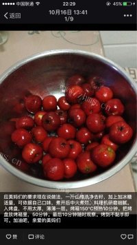 自制果丹皮做法图解1)