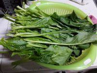 香飘的素炒菠菜做法图解1)