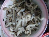 家常菜肉片炒平菇做法图解1)