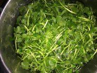 家常菜蒜香西洋菜做法图解1)
