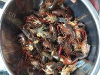 色香味俱全的麻辣小龙虾做法图解4)