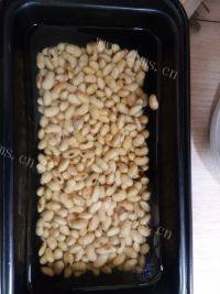 自制红枣豆浆做法图解1)