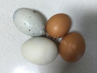 好吃的彩色蛋羹做法图解1)