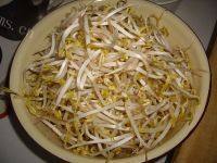 绿豆芽炒肉丝做法图解1)