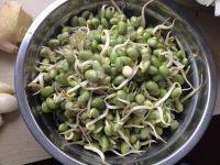 家常菜炒青豆做法图解1)