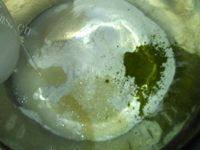 自制抹茶红豆面包做法图解2)