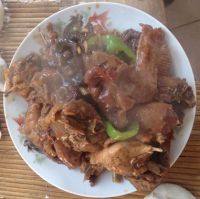 回味悠长的红烧鸡肉