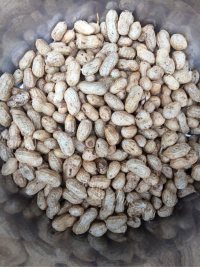 下酒菜盐水花生做法图解1)