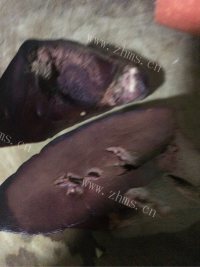 简易凉拌猪肝做法图解2)
