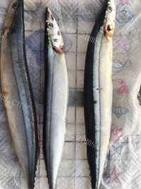 家常菜红烧秋刀鱼做法图解1)