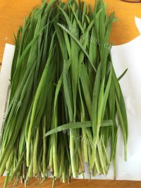 色香味俱全的韭菜盒子做法图解1)