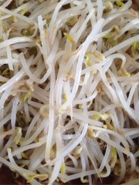 好吃的菠菜豆芽拌面筋做法图解1)