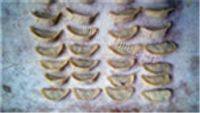 自制韭菜肉馅水饺做法图解9)