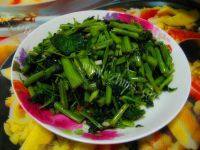 家常菜素炒空心菜