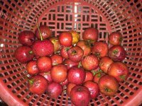 芳香四溢的冰糖葫芦做法图解1)