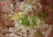美味的如意蝉衣豆腐卷做法图解5)
