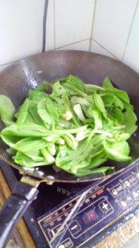 诱人的木耳炒油菜做法图解5)