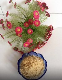 自制酸奶盆栽做法图解5)