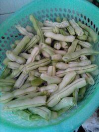 家常菜清炒四季豆做法图解2)