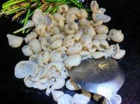 好吃的姜丝炒大肠做法图解6)
