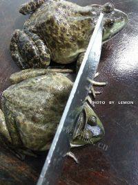 在家做的干锅牛蛙做法图解2)