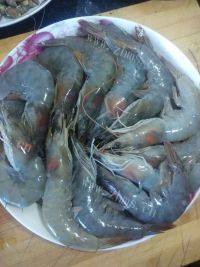 美味的豆豉油焖鲜虾做法图解1)
