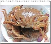 美味的炒花蟹做法图解1)