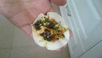 美味芹菜叶胡萝卜素水饺做法图解9)