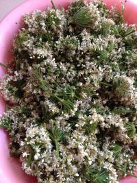 口感极佳的韭花酱做法图解1)