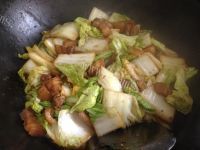 美味的猪肉白菜炖粉条做法图解9)