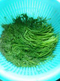 家庭版茴香饺子做法图解1)