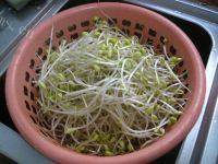 家常菜五花肉炒黄豆芽做法图解1)