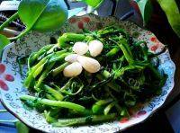 家常菜炒空心菜