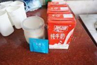 自制老酸奶做法图解1)