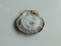 美味的蒜蓉粉丝蒸扇贝做法图解9)