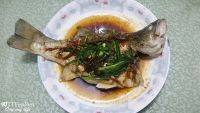 美味的清蒸鲈鱼