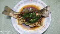 美味的清蒸鲈鱼