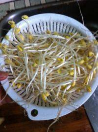 家常菜香辣水煮鱼做法图解4)
