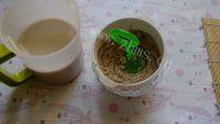 DIY豆浆做法图解5)