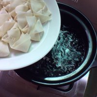 垂涎欲滴的鲜肉小云吞做法图解8)