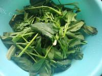 家常菜蒜香菠菜做法图解1)