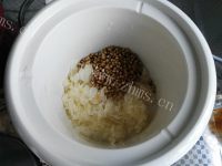 桃胶蔓越莓薏仁羹做法图解5)
