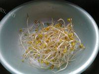 美味的豆芽菜做法图解1)
