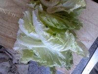 家常菜西红柿炒生菜做法图解1)
