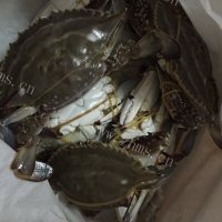 妈妈最爱的蒸螃蟹做法图解1)