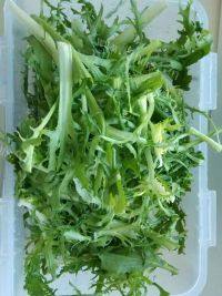 自制凉拌苦菊做法图解4)