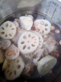 美味的龙骨莲藕汤
