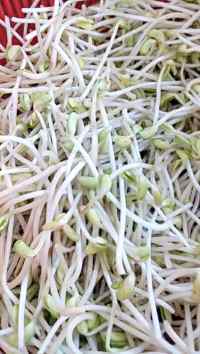 清淡的素炒豆芽做法图解1)