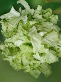 家常炝莲花菜做法图解2)
