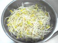 家常菜黄豆芽炒肉片做法图解3)